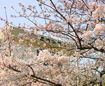 冨歯科医院